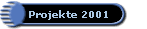 Projekte 2001
