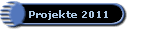 Projekte 2011