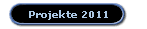 Projekte 2011